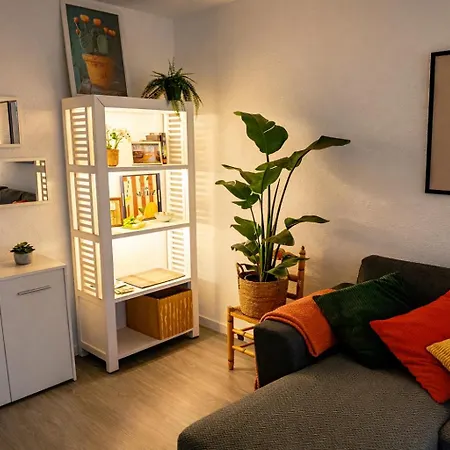 Centrico Y Luminoso טורמולינוס